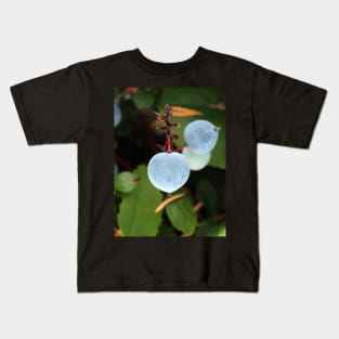 Oregon grape (Mahonia aquifolium) berries in a Pacific Northwest forest Kids T-Shirt